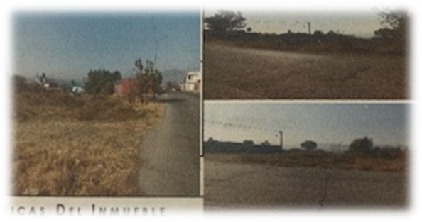 PLATAFORMA SAID REGISTRATE